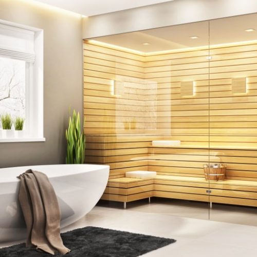 Steam Shower Door (3)