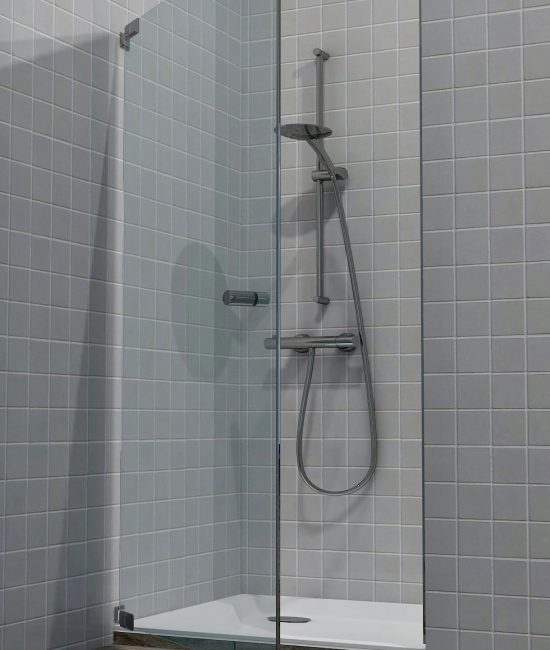 shower-Single Door-2
